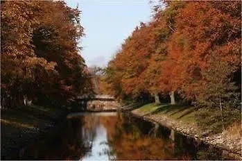Grand Halden